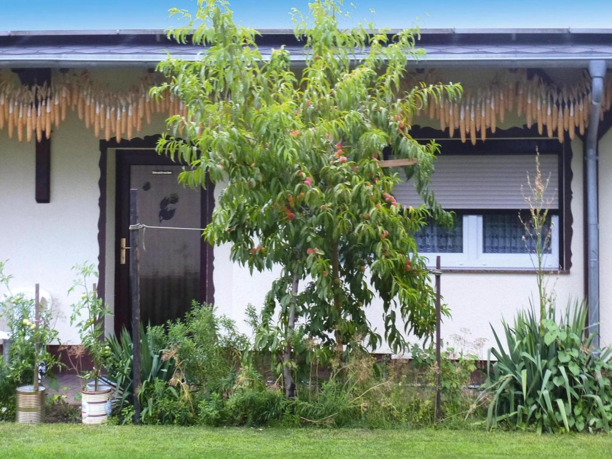 Bungalow in Lübben with a terrace Exterior foto